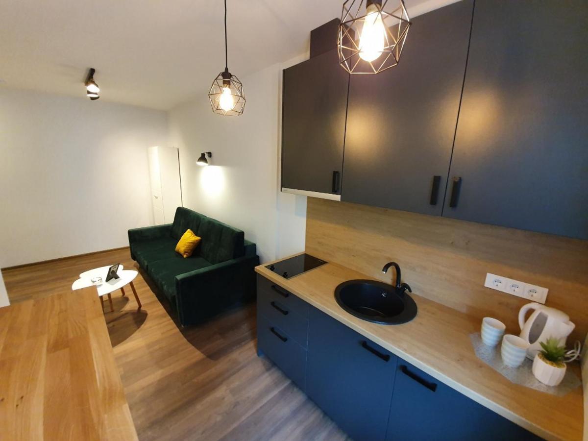 Oak House Apartments Kaunas Esterno foto
